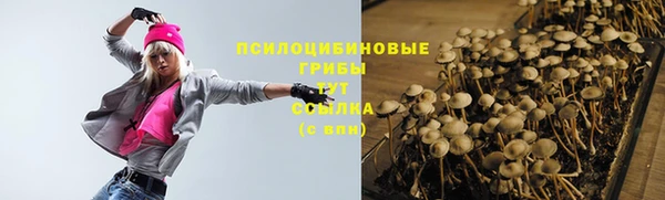 мдпв Сосновка