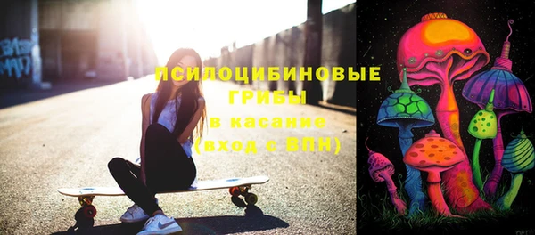 стафф Сосновый Бор